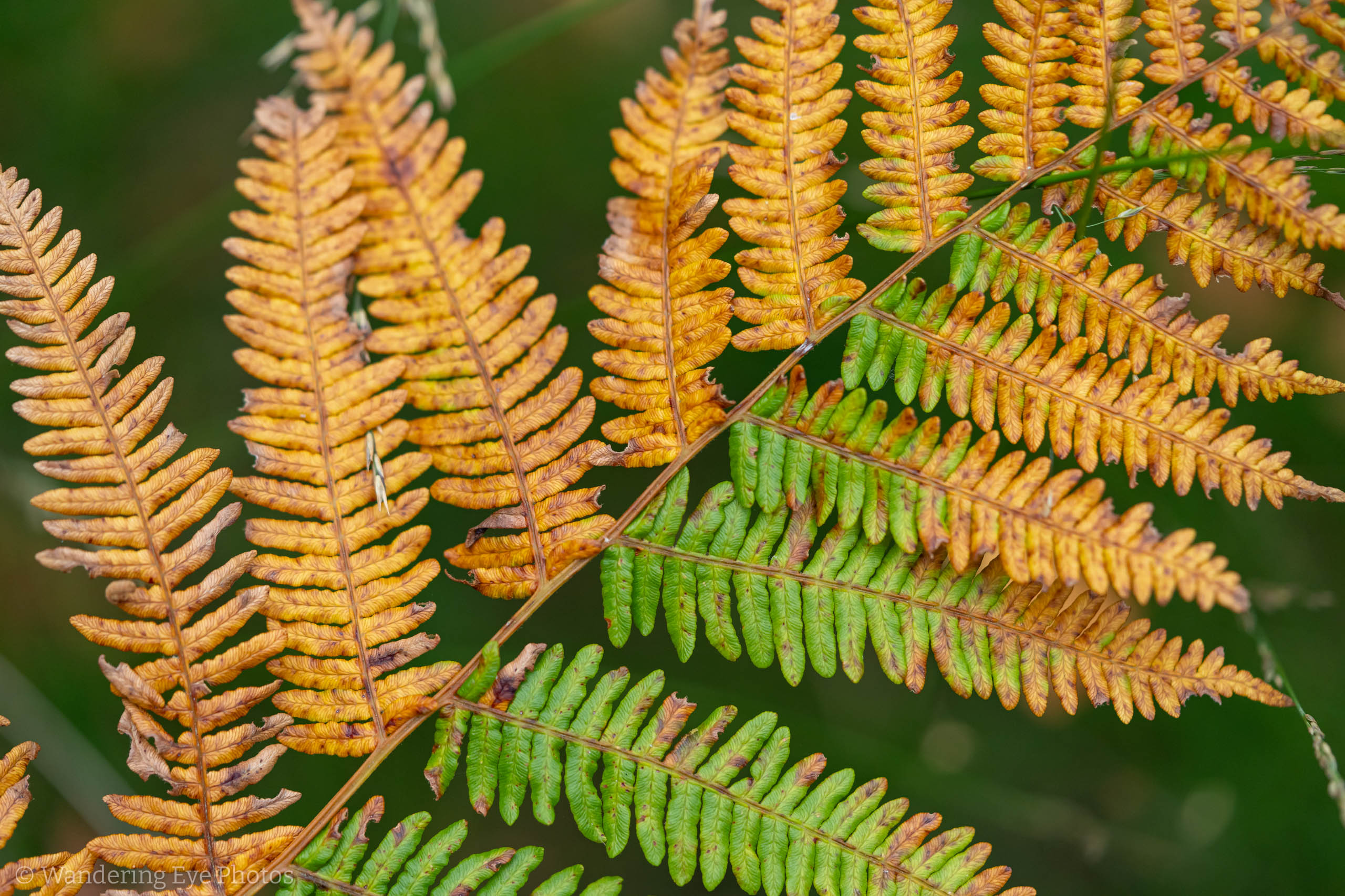 08.31 14.23.05   DSC02741